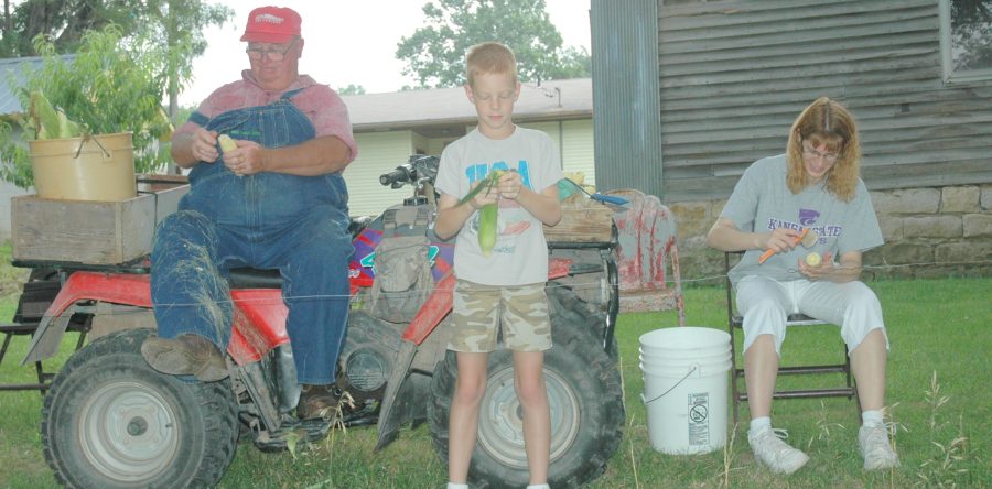 Homestead Gardening: Your Path to Self-Sufficiency and Sustainable Living