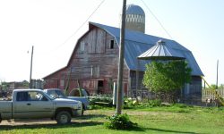 Web of Life: A Homesteader’s Dance with Nature’s Most Misunderstood Architects